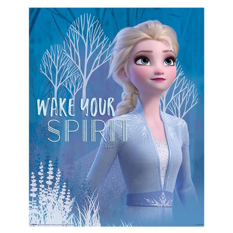 Disney Frozen 2 Wake Your Spirit Elsa Mini Poster £2.49